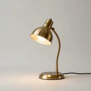 Brass Reading Light